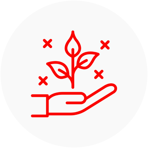 Hand nurturing a plant